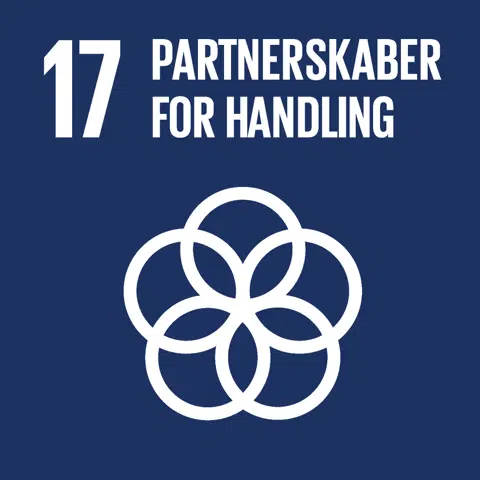 partnerskaber og handling
