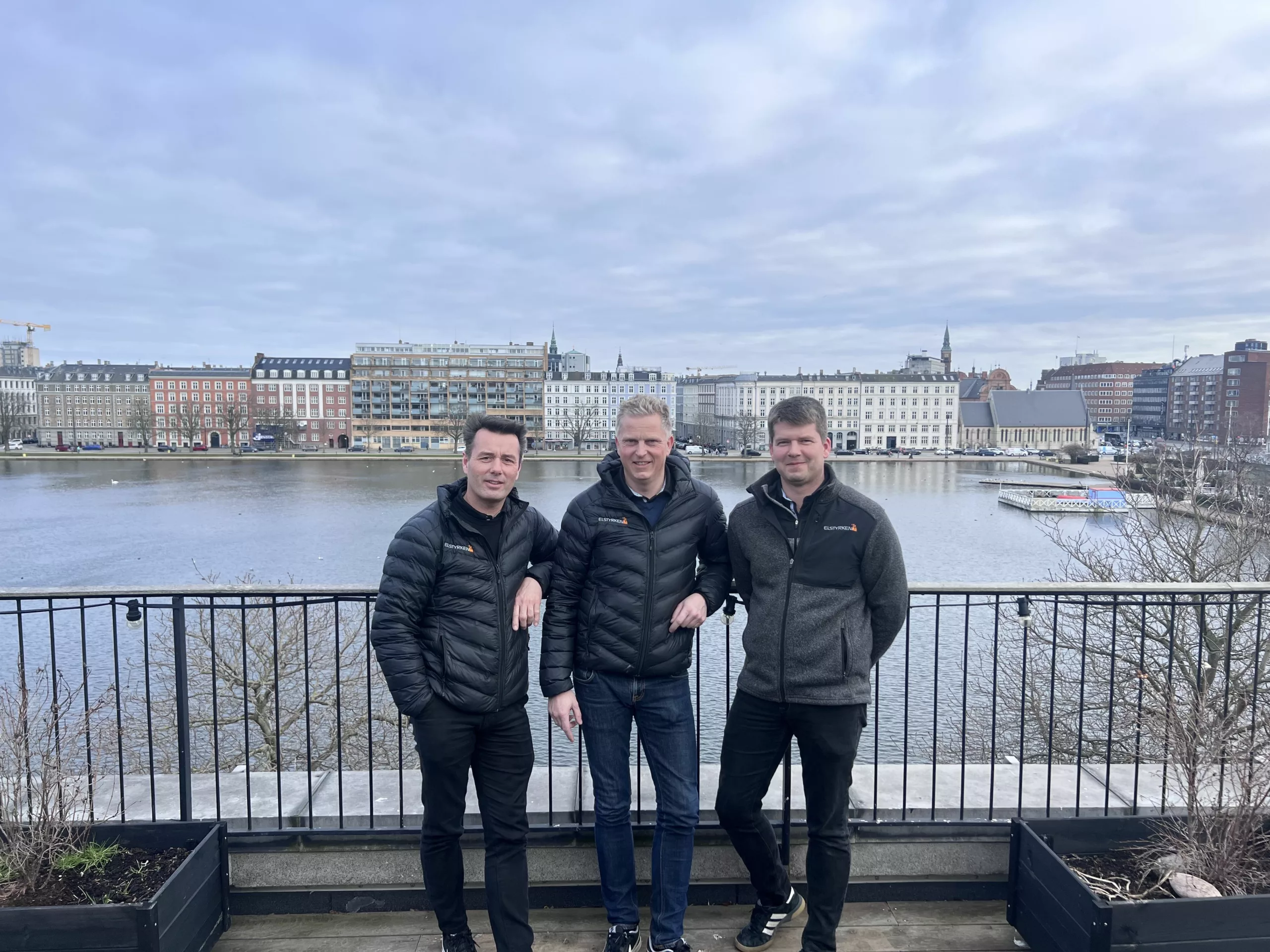 Professionel rådgivning